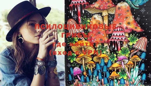 тгк Заводоуковск