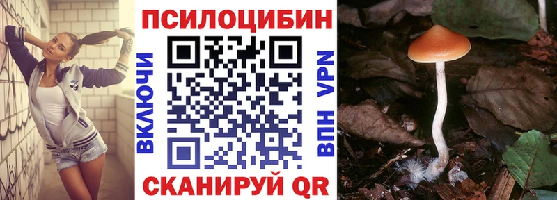 Купить  Духовщина  Галлюциногенные грибы Cubensis 